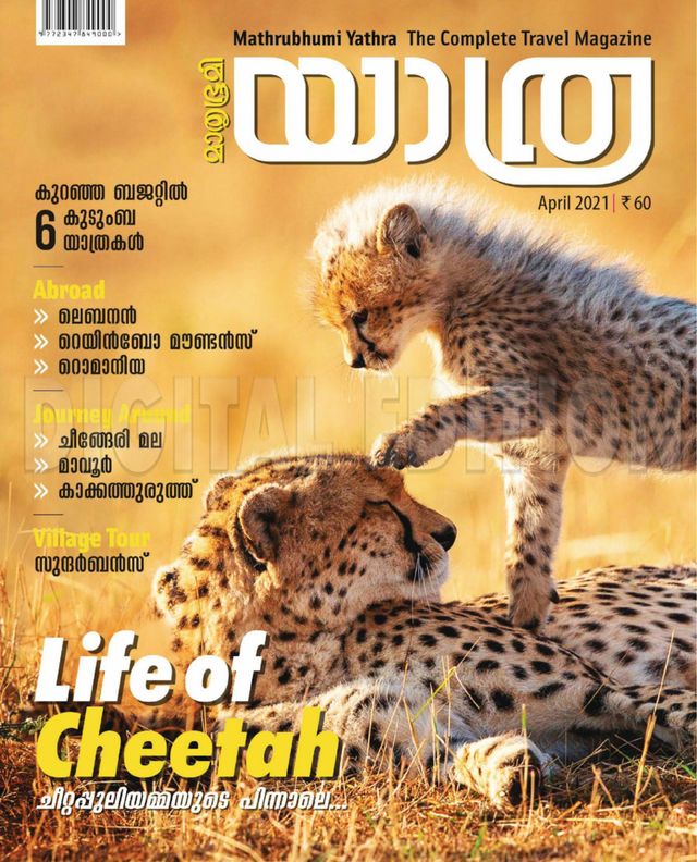 Mathrubhumi Yathra