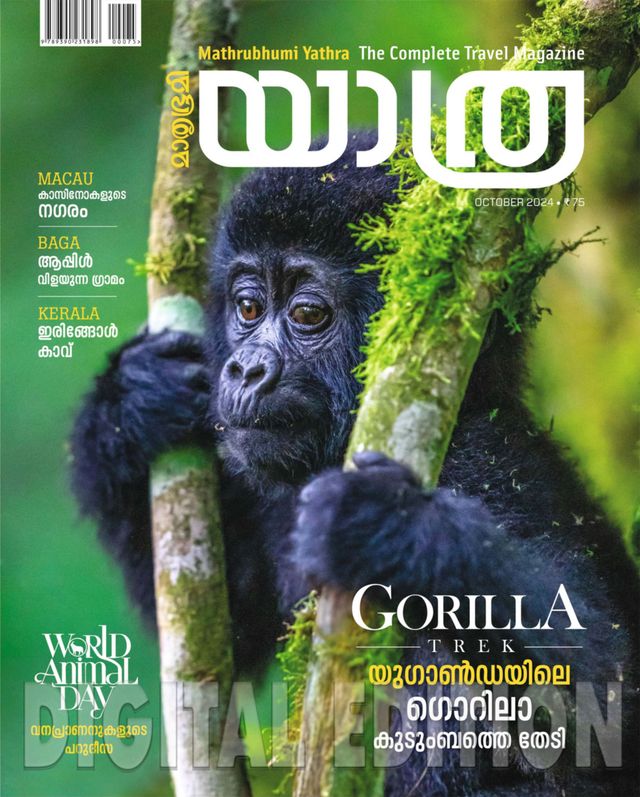 Go Unlimited with Magzter GOLD