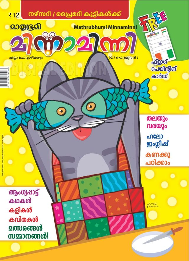Minnaminni