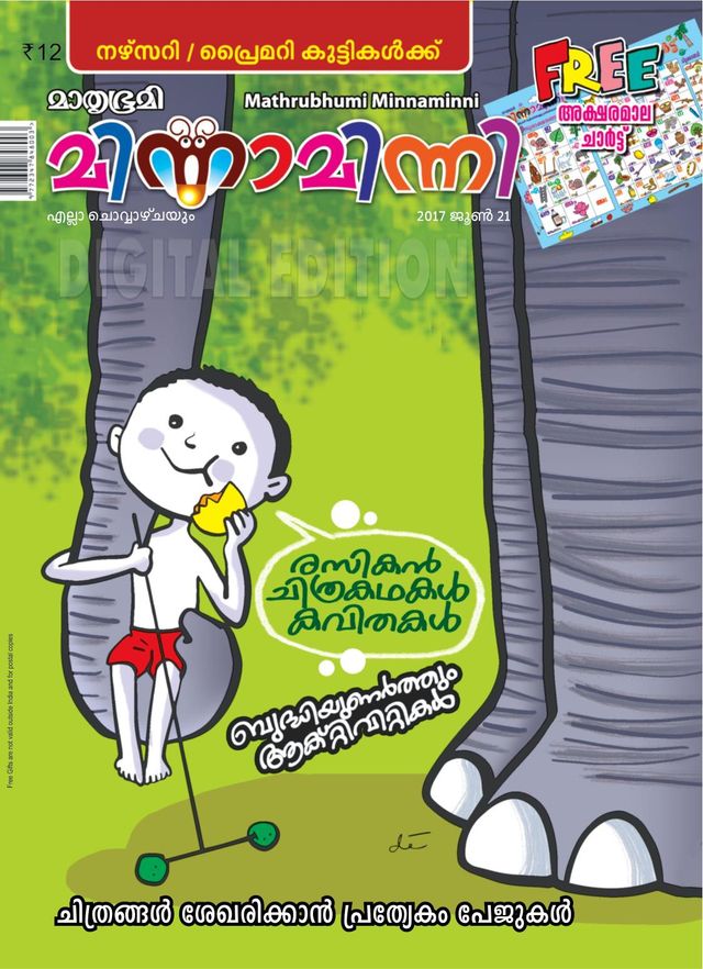 Minnaminni