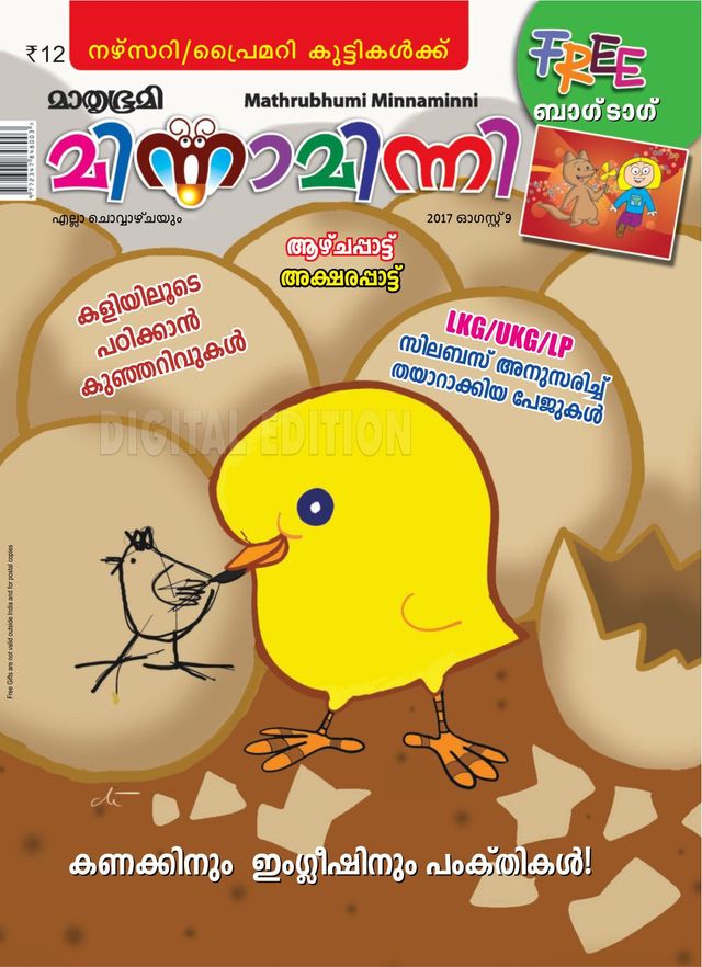 Minnaminni