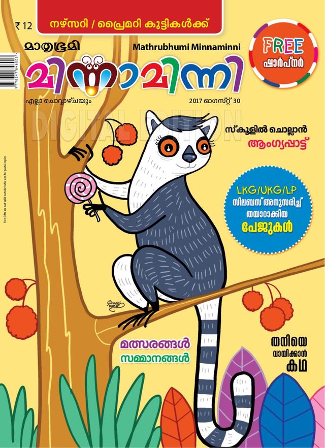 Minnaminni