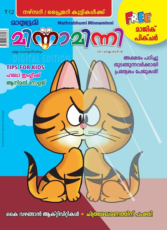 Minnaminni