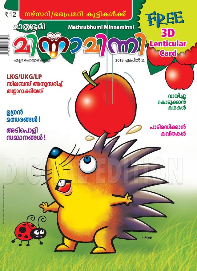 Minnaminni
