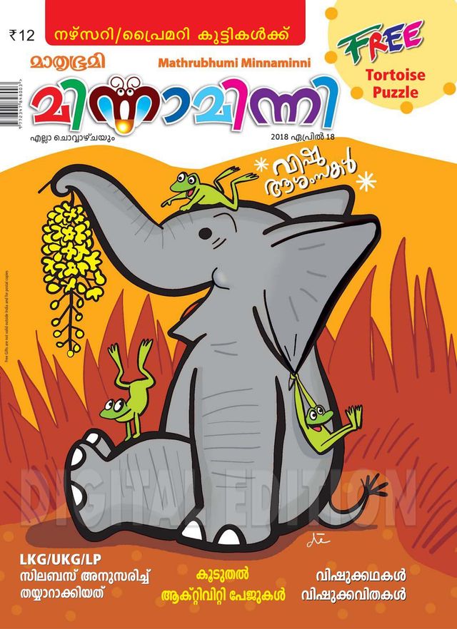 Minnaminni