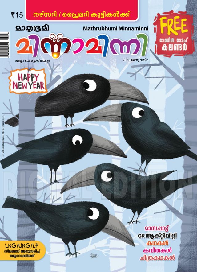 Minnaminni