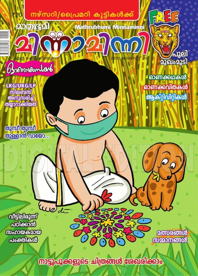Minnaminni