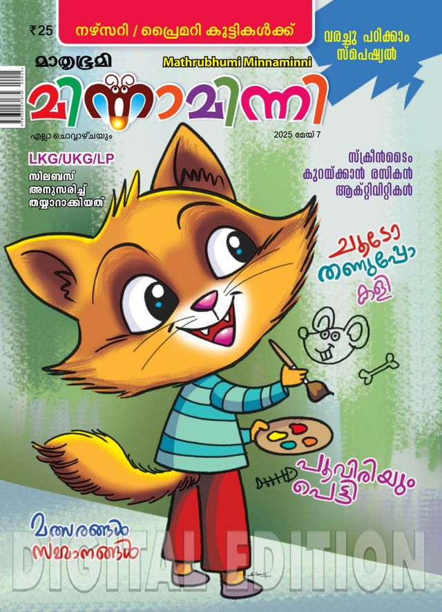 Minnaminni