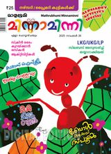 Minnaminni