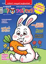 Minnaminni