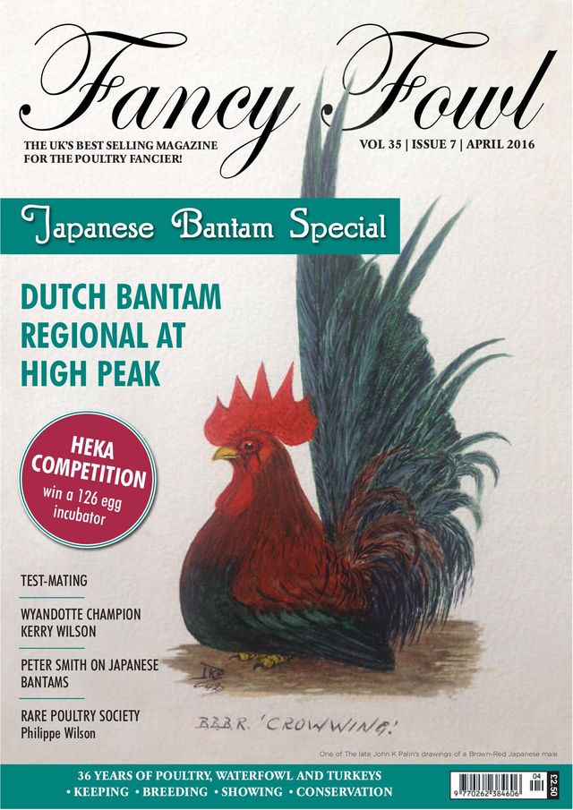 Fancy Fowl