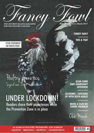 Fancy Fowl