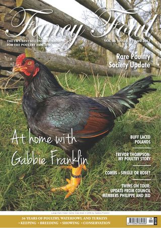 Fancy Fowl