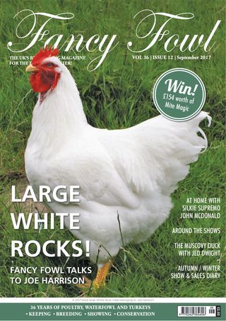 Fancy Fowl