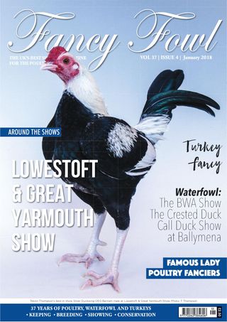 Fancy Fowl