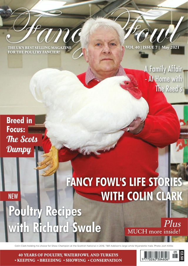 Fancy Fowl