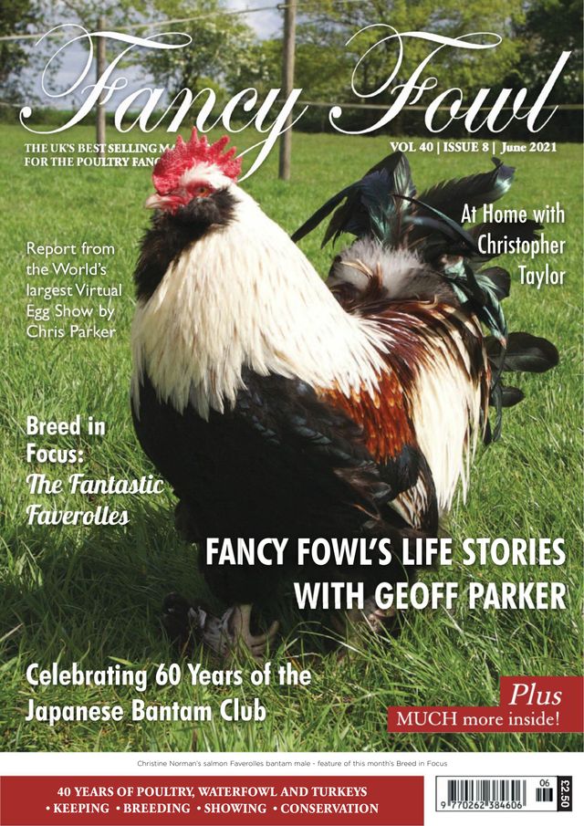 Fancy Fowl