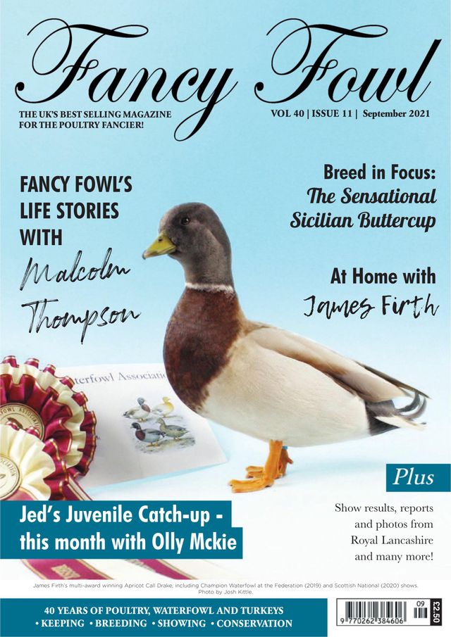 Fancy Fowl