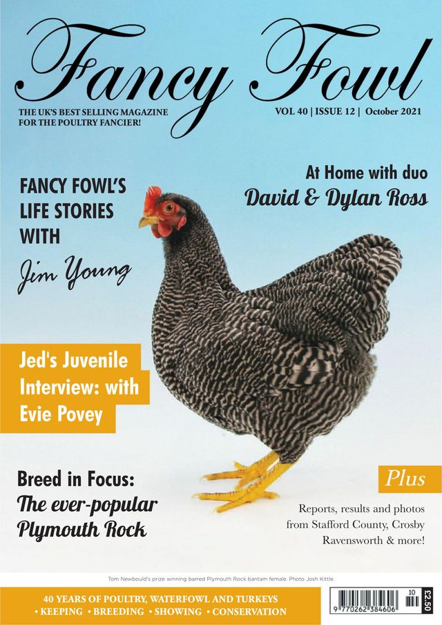 Fancy Fowl