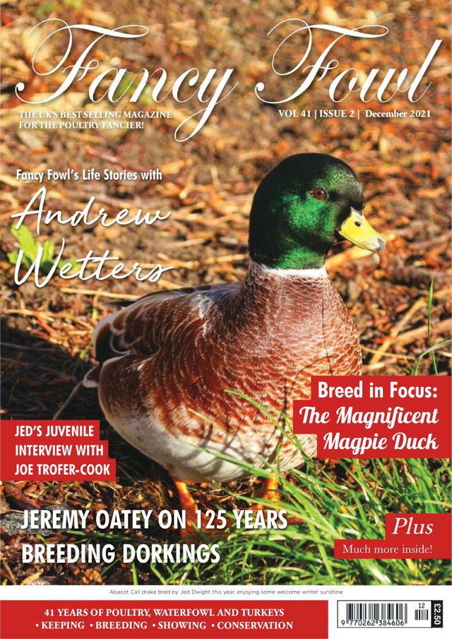 Fancy Fowl
