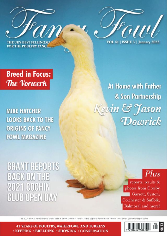 Fancy Fowl