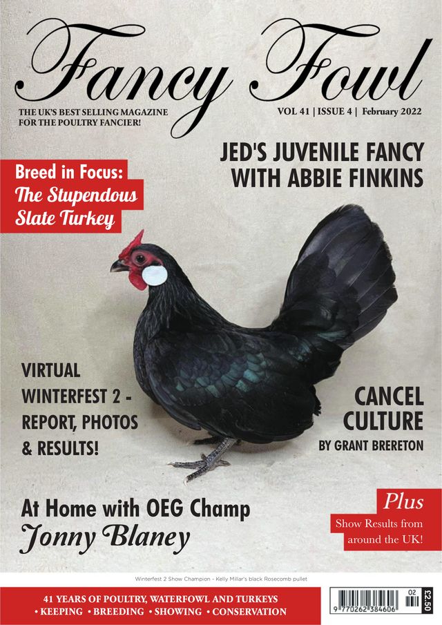 Fancy Fowl