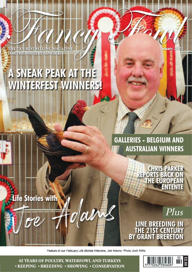 Fancy Fowl