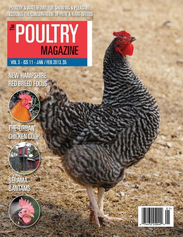 The Poultry Magazine