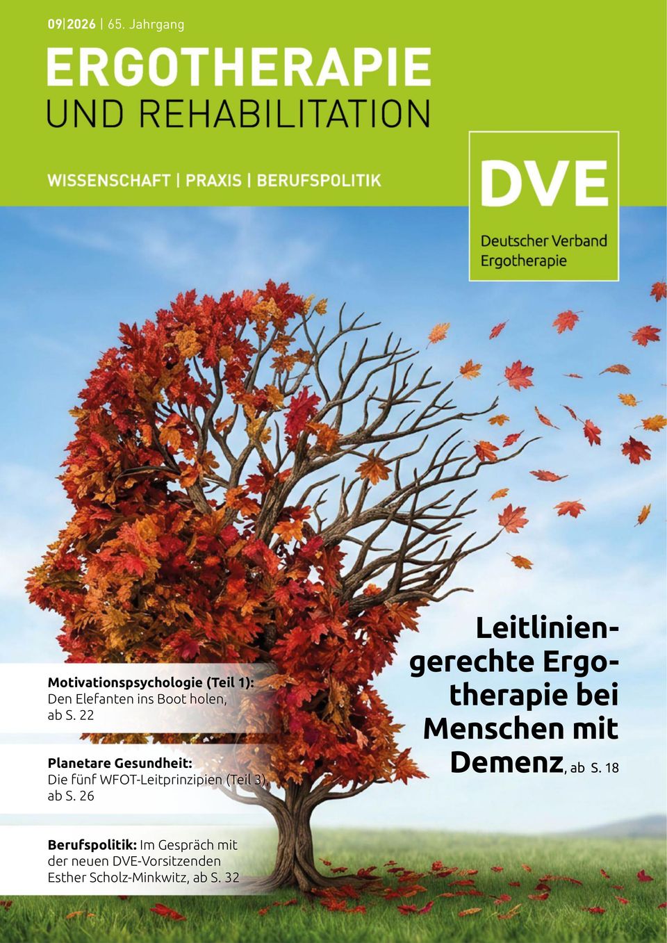 Ergotherapie und Rehabilition
