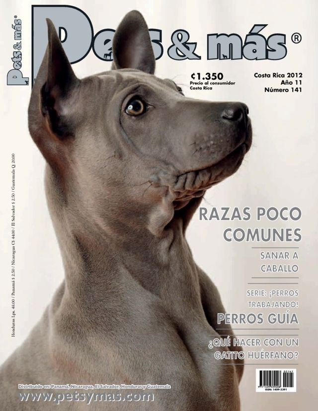 Pets y más