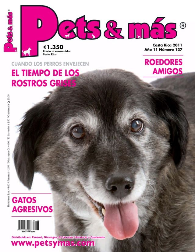 Pets y más