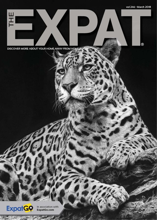 The Expat