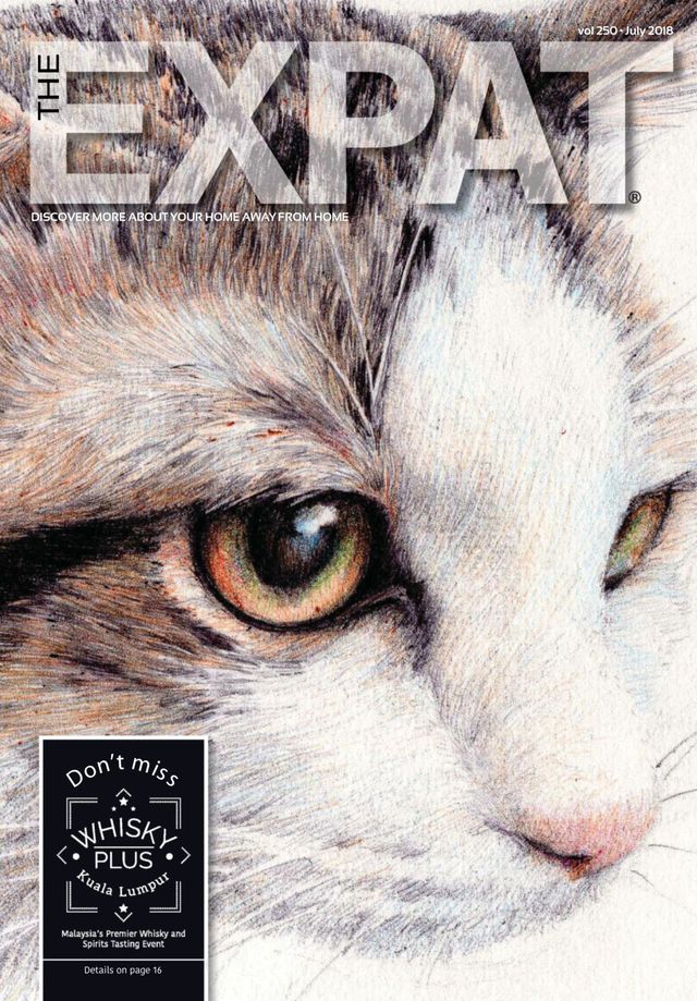 The Expat