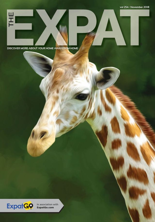 The Expat