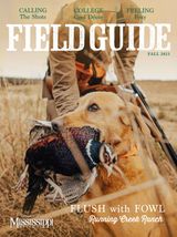 Field Guide - Fall 2023