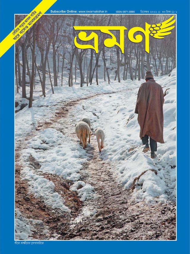 मैगज़्टर गोल्ड के साथ असीमित हो जाओ