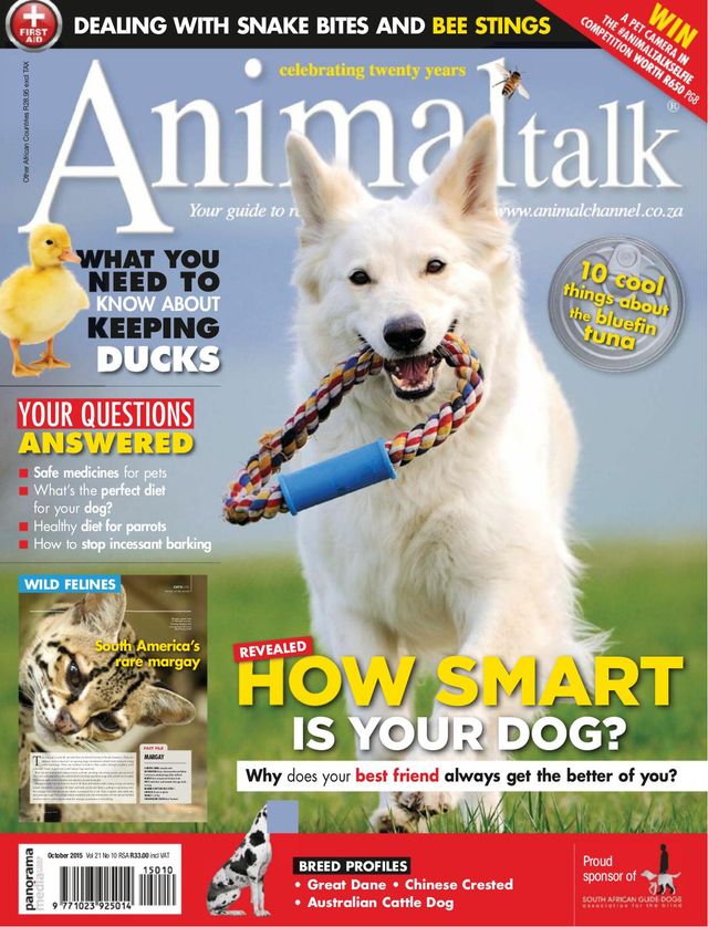 Mit Magzter GOLD unbegrenztes Potenzial nutzen