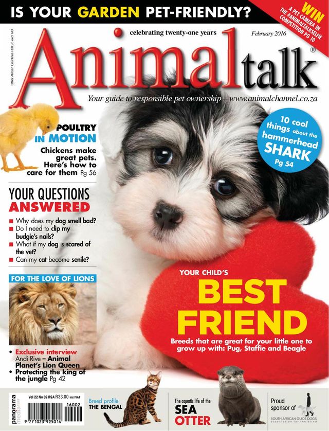 Vuélvete ilimitado con Magzter GOLD