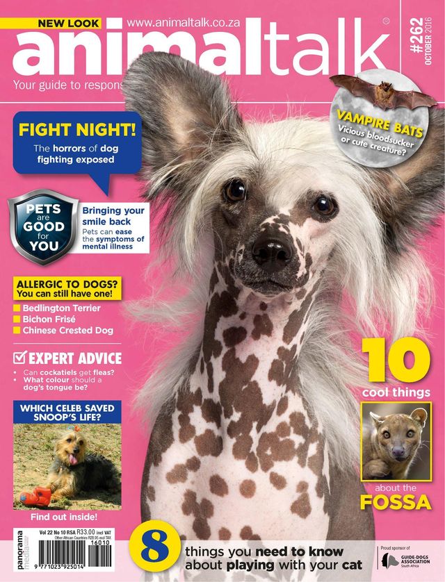 Mit Magzter GOLD unbegrenztes Potenzial nutzen