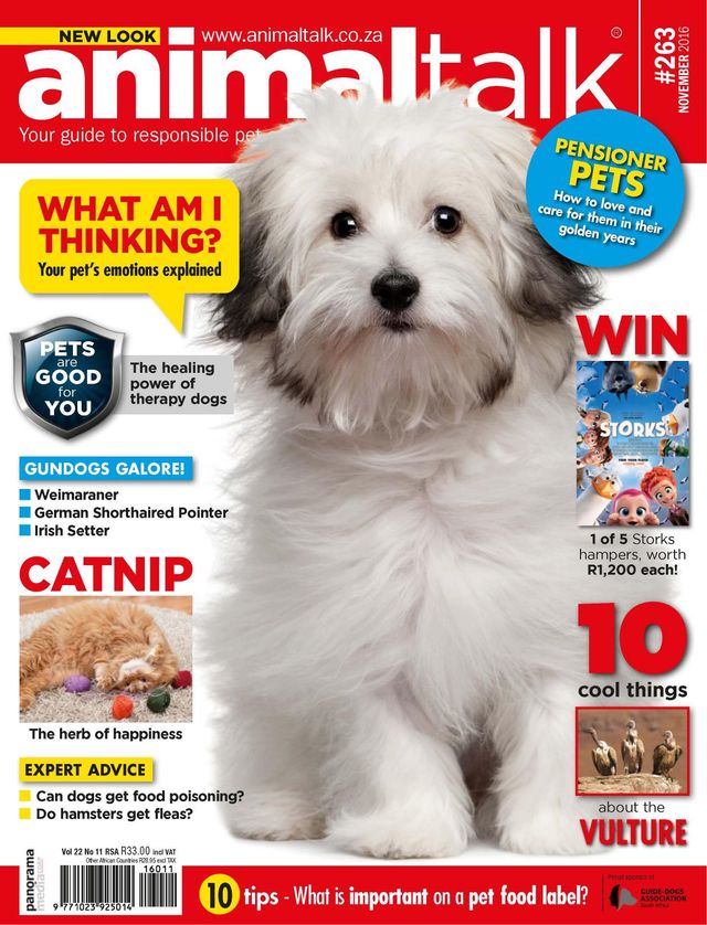 Vuélvete ilimitado con Magzter GOLD