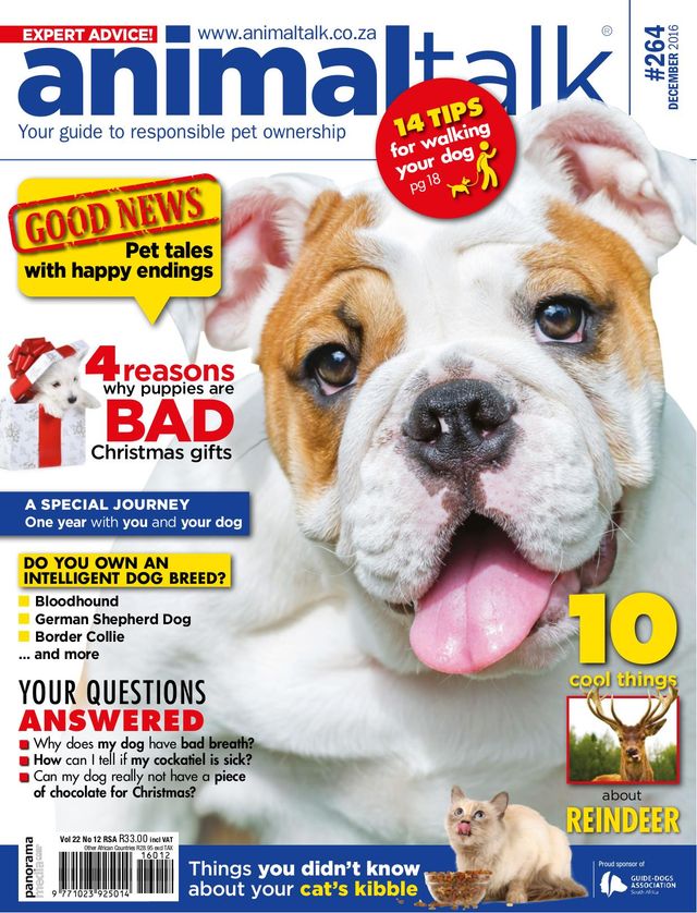 Vuélvete ilimitado con Magzter GOLD