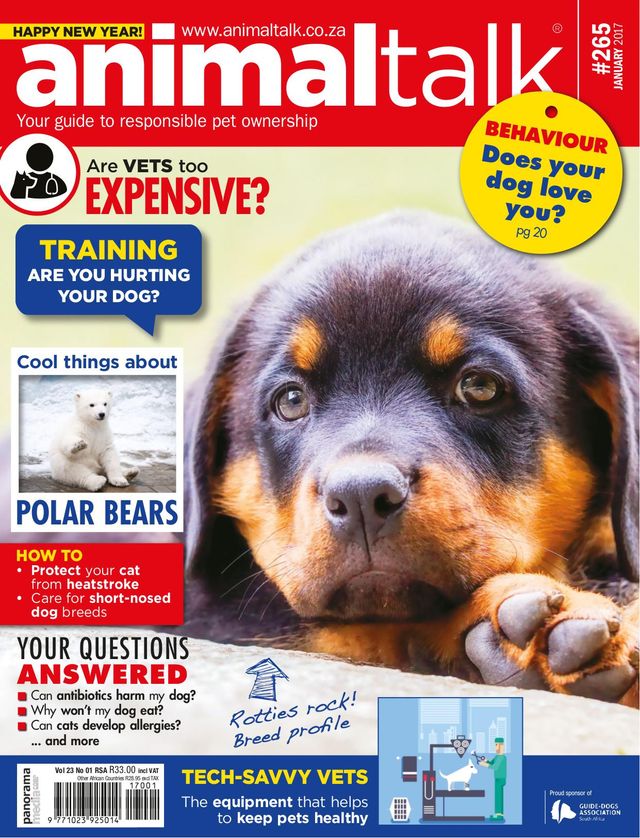 Vuélvete ilimitado con Magzter GOLD