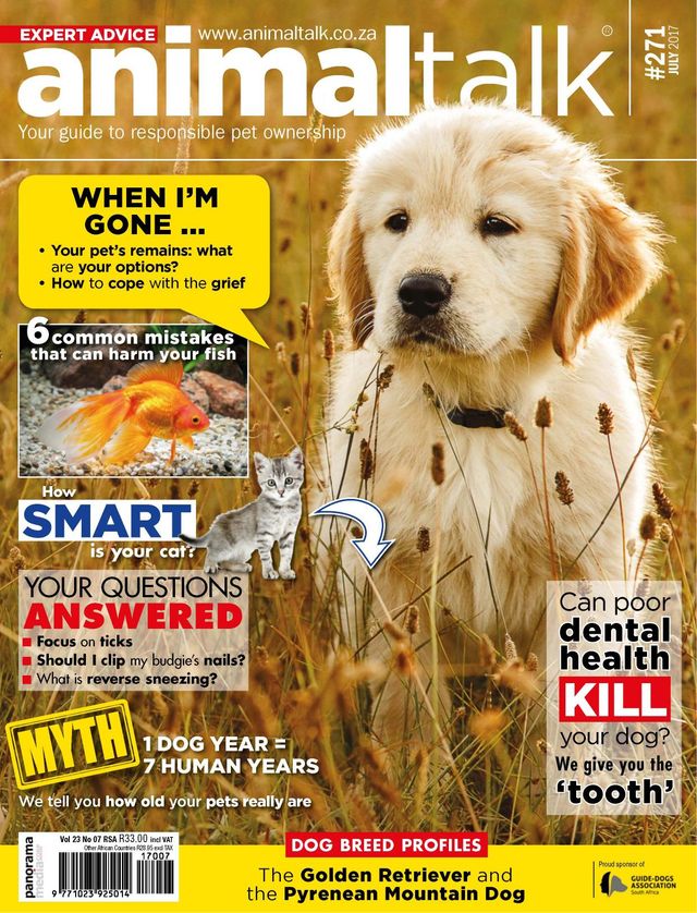 Vuélvete ilimitado con Magzter GOLD