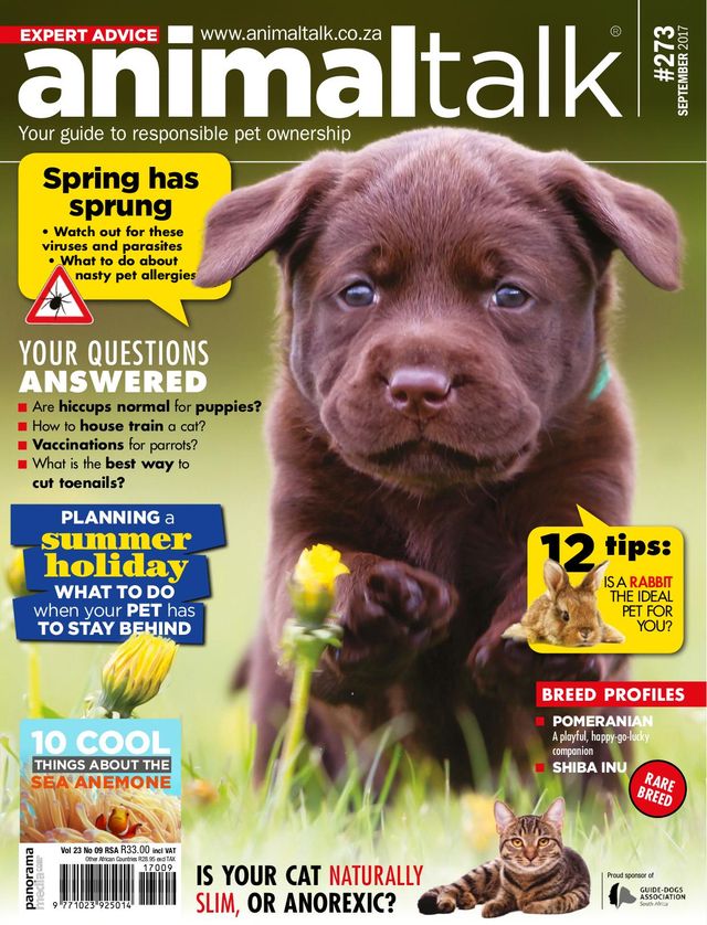 Mit Magzter GOLD unbegrenztes Potenzial nutzen