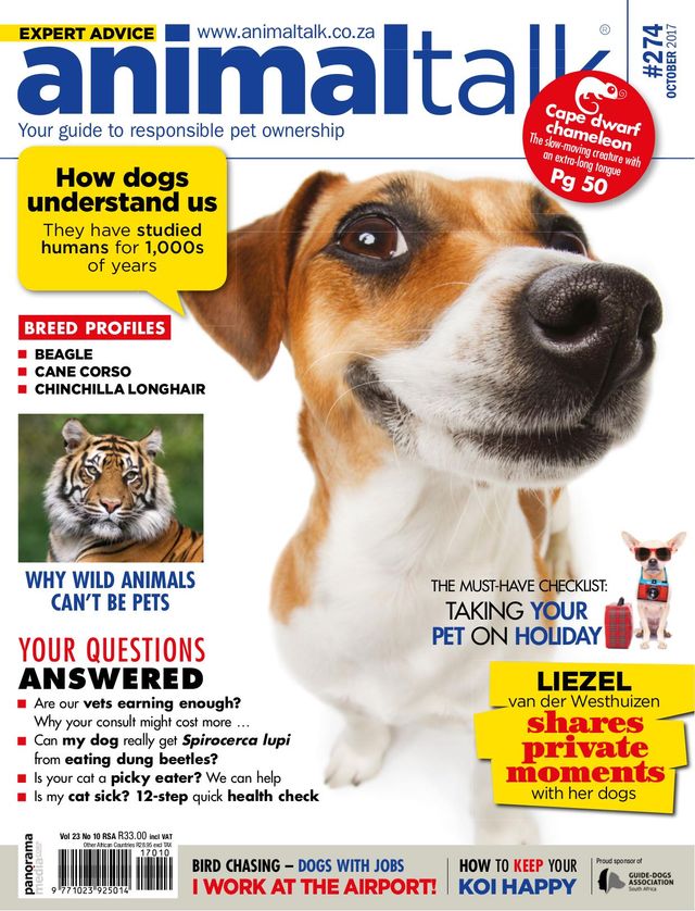 Ga onbeperkt met Magzter GOLD