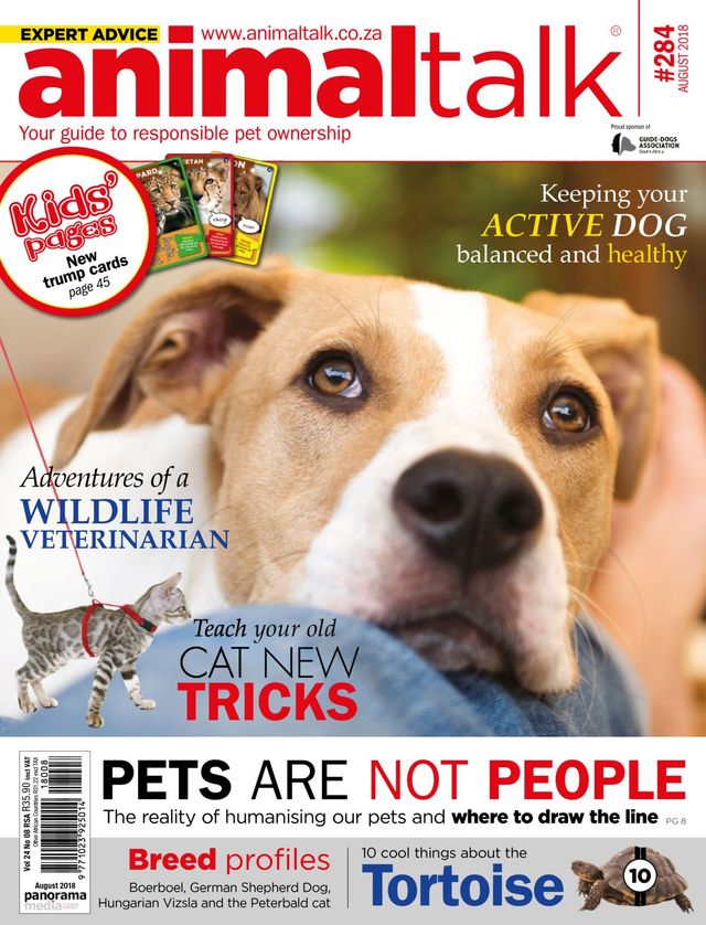 Mit Magzter GOLD unbegrenztes Potenzial nutzen