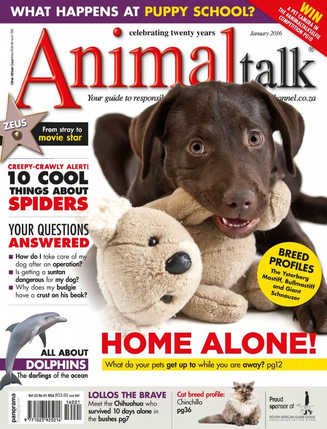 Mit Magzter GOLD unbegrenztes Potenzial nutzen