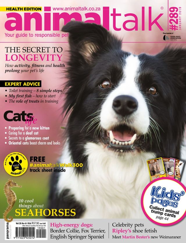 Vuélvete ilimitado con Magzter GOLD