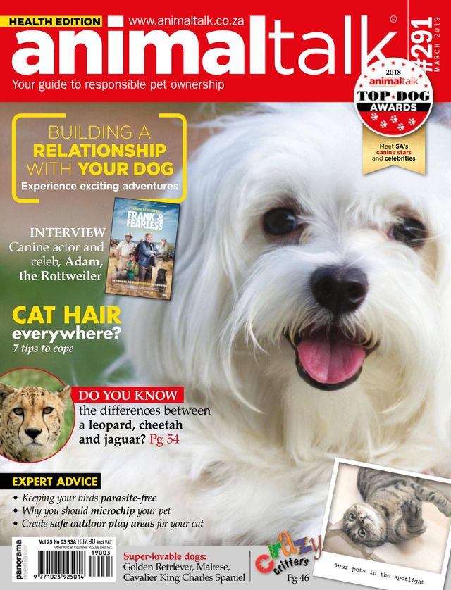 Vuélvete ilimitado con Magzter GOLD