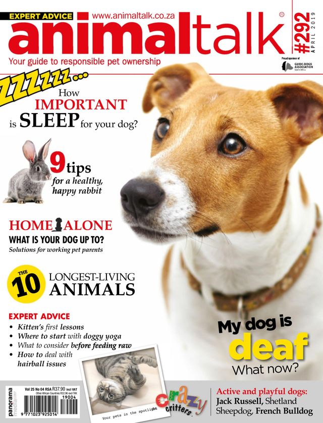 Vuélvete ilimitado con Magzter GOLD